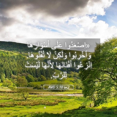 Picture 05 - إِرْمِيَا 5:10 AVD - «اِصْعَدُوا عَلَى - Bible Verse Picture