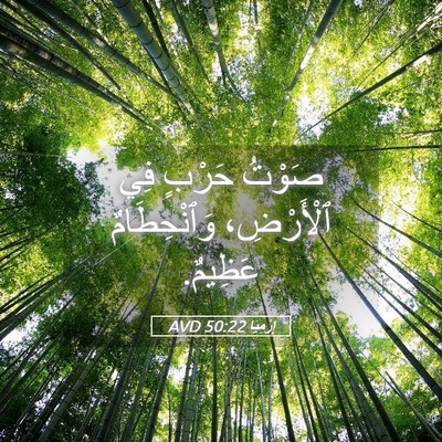 Picture 05 - إِرْمِيَا 50:22 AVD - صَوْتُ حَرْبٍ فِي - Bible Verse Picture