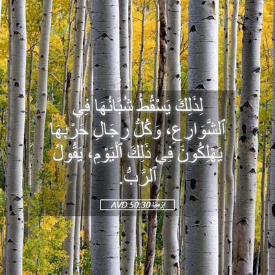 Picture 05 - إِرْمِيَا 50:30 AVD - لِذَلِكَ يَسْقُطُ - Bible Verse Picture