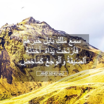 Picture 05 - إِرْمِيَا 50:43 AVD - سَمِعَ مَلِكُ بَابِلَ - Bible Verse Picture