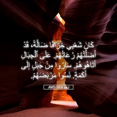 Picture 05 - إِرْمِيَا 50:6 AVD - كَانَ شَعْبِي خِرَافًا - Bible Verse Picture