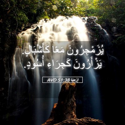 Picture 05 - إِرْمِيَا 51:38 AVD - يُزَمْجِرُونَ مَعًا - Bible Verse Picture