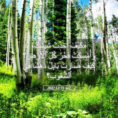 Picture 05 - إِرْمِيَا 51:41 AVD - «كَيْفَ أُخِذَتْ شِيشَكُ، - Bible Verse Picture
