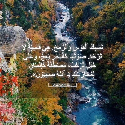 Picture 05 - إِرْمِيَا 6:23 AVD - تُمْسِكُ ٱلْقَوْسَ - Bible Verse Picture
