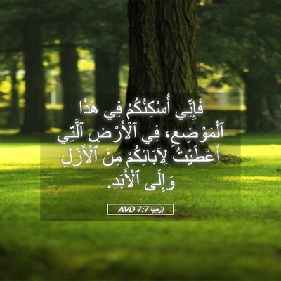 Picture 05 - إِرْمِيَا 7:7 AVD - فَإِنِّي أُسْكِنُكُمْ فِي - Bible Verse Picture