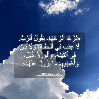 Picture 05 - إِرْمِيَا 8:13 AVD - «نَزْعًا أَنْزِعُهُمْ، - Bible Verse Picture