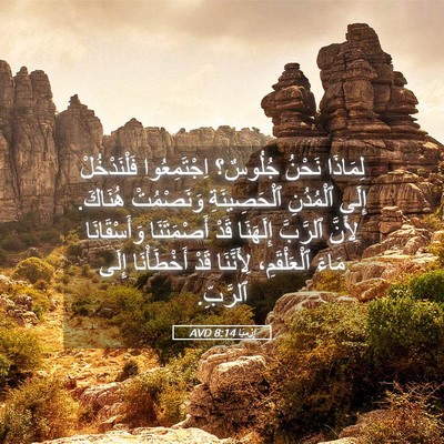 Picture 05 - إِرْمِيَا 8:14 AVD - لِمَاذَا نَحْنُ جُلُوسٌ؟ - Bible Verse Picture