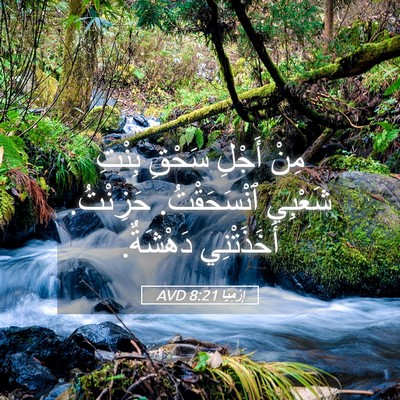 Picture 05 - إِرْمِيَا 8:21 AVD - مِنْ أَجْلِ سَحْقِ بِنْتِ - Bible Verse Picture