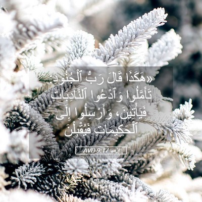 Picture 05 - إِرْمِيَا 9:17 AVD - «هَكَذَا قَالَ رَبُّ - Bible Verse Picture