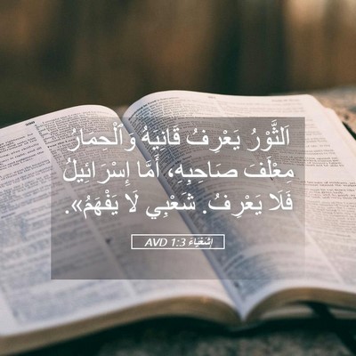 Picture 05 - إِشَعْيَاءَ 1:3 AVD - اَلثَّوْرُ يَعْرِفُ - Bible Verse Picture