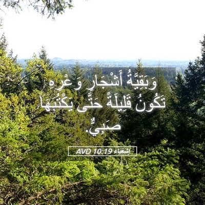 Picture 05 - إِشَعْيَاءَ 10:19 AVD - وَبَقِيَّةُ أَشْجَارِ - Bible Verse Picture
