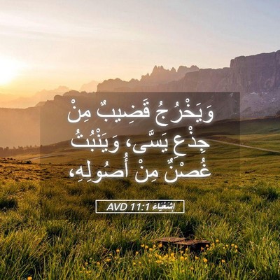 Picture 05 - إِشَعْيَاءَ 11:1 AVD - وَيَخْرُجُ قَضِيبٌ مِنْ - Bible Verse Picture