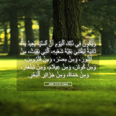 Picture 05 - إِشَعْيَاءَ 11:11 AVD - وَيَكُونُ فِي ذَلِكَ - Bible Verse Picture
