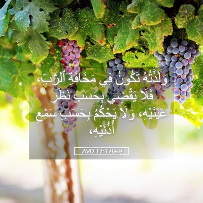Picture 05 - إِشَعْيَاءَ 11:3 AVD - وَلَذَّتُهُ تَكُونُ فِي - Bible Verse Picture