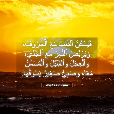 Picture 05 - إِشَعْيَاءَ 11:6 AVD - فَيَسْكُنُ ٱلذِّئْبُ مَعَ - Bible Verse Picture