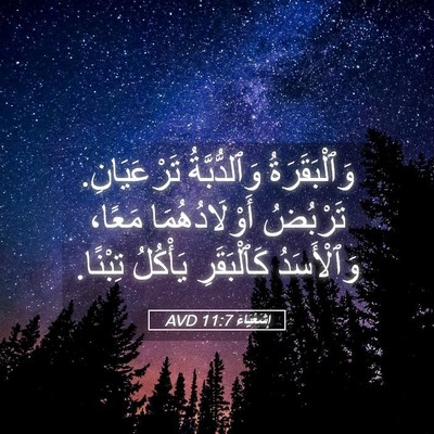 Picture 05 - إِشَعْيَاءَ 11:7 AVD - وَٱلْبَقَرَةُ - Bible Verse Picture