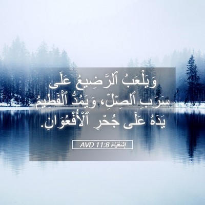 Picture 05 - إِشَعْيَاءَ 11:8 AVD - وَيَلْعَبُ ٱلرَّضِيعُ - Bible Verse Picture