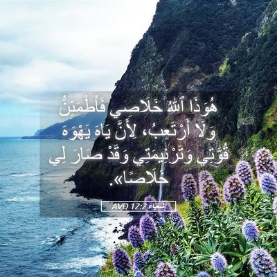 Picture 05 - إِشَعْيَاءَ 12:2 AVD - هُوَذَا ٱللهُ خَلَاصِي - Bible Verse Picture