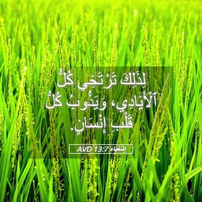 Picture 05 - إِشَعْيَاءَ 13:7 AVD - لِذَلِكَ تَرْتَخِي كُلُّ - Bible Verse Picture