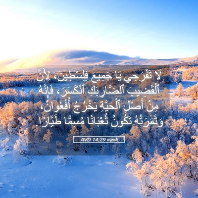 Picture 05 - إِشَعْيَاءَ 14:29 AVD - لَا تَفْرَحِي يَا جَمِيعَ - Bible Verse Picture