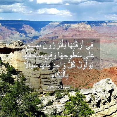 Picture 05 - إِشَعْيَاءَ 15:3 AVD - فِي أَزِقَّتِهَا - Bible Verse Picture