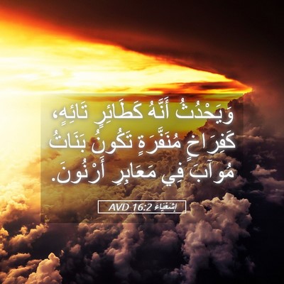 Picture 05 - إِشَعْيَاءَ 16:2 AVD - وَيَحْدُثُ أَنَّهُ - Bible Verse Picture