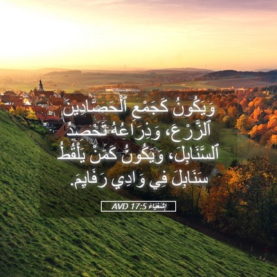 Picture 05 - إِشَعْيَاءَ 17:5 AVD - وَيَكُونُ كَجَمْعِ - Bible Verse Picture