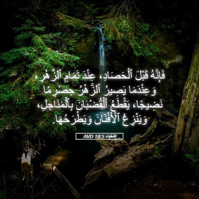 Picture 05 - إِشَعْيَاءَ 18:5 AVD - فَإِنَّهُ قَبْلَ - Bible Verse Picture
