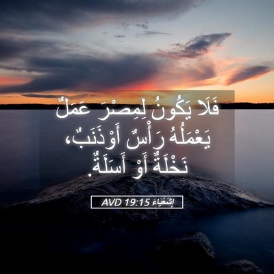 Picture 05 - إِشَعْيَاءَ 19:15 AVD - فَلَا يَكُونُ لِمِصْرَ - Bible Verse Picture