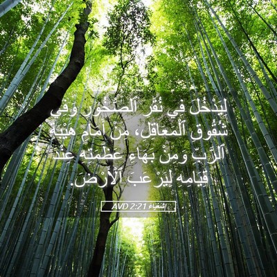 Picture 05 - إِشَعْيَاءَ 2:21 AVD - لِيَدْخُلَ فِي نُقَرِ - Bible Verse Picture