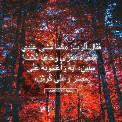 Picture 05 - إِشَعْيَاءَ 20:3 AVD - فَقَالَ ٱلرَّبُّ: «كَمَا - Bible Verse Picture