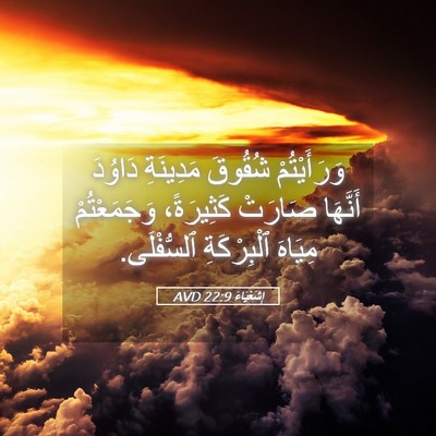 Picture 05 - إِشَعْيَاءَ 22:9 AVD - وَرَأَيْتُمْ شُقُوقَ - Bible Verse Picture