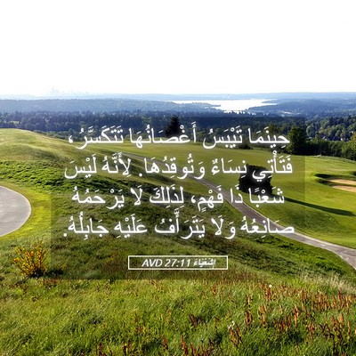Picture 05 - إِشَعْيَاءَ 27:11 AVD - حِينَمَا تَيْبَسُ - Bible Verse Picture