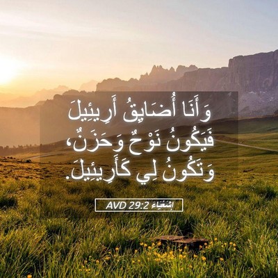 Picture 05 - إِشَعْيَاءَ 29:2 AVD - وَأَنَا أُضَايِقُ - Bible Verse Picture