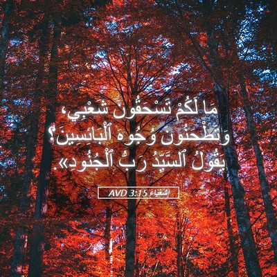 Picture 05 - إِشَعْيَاءَ 3:15 AVD - مَا لَكُمْ تَسْحَقُونَ - Bible Verse Picture