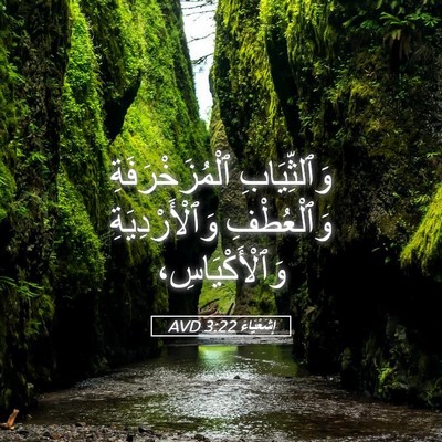 Picture 05 - إِشَعْيَاءَ 3:22 AVD - وَٱلثِّيَابِ - Bible Verse Picture