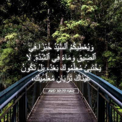 Picture 05 - إِشَعْيَاءَ 30:20 AVD - وَيُعْطِيكُمُ ٱلسَّيِّدُ - Bible Verse Picture