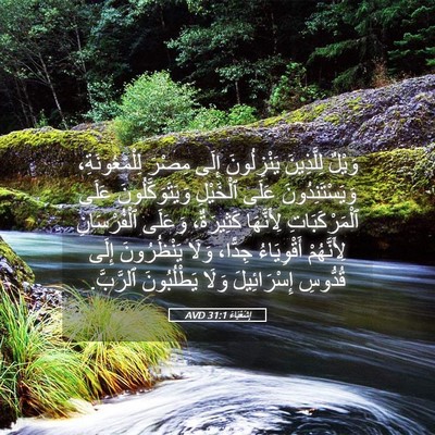 Picture 05 - إِشَعْيَاءَ 31:1 AVD - وَيْلٌ لِلَّذِينَ - Bible Verse Picture