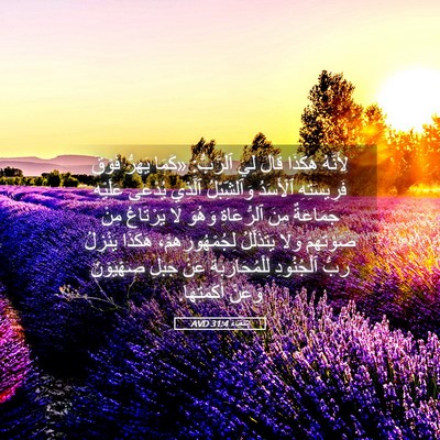 Picture 05 - إِشَعْيَاءَ 31:4 AVD - لِأَنَّهُ هَكَذَا قَالَ - Bible Verse Picture