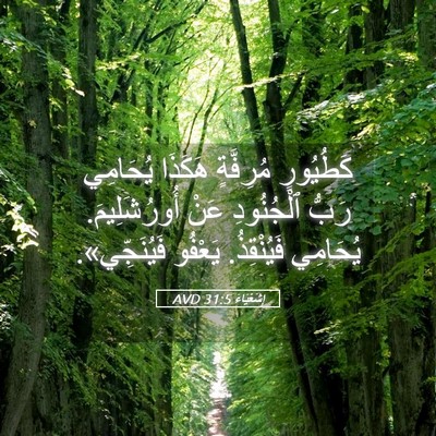 Picture 05 - إِشَعْيَاءَ 31:5 AVD - كَطُيُورٍ مُرِفَّةٍ - Bible Verse Picture