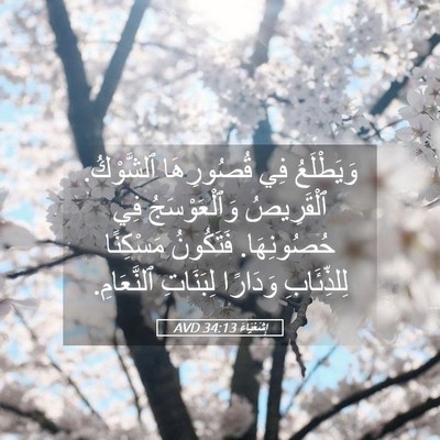 Picture 05 - إِشَعْيَاءَ 34:13 AVD - وَيَطْلَعُ فِي قُصُورِهَا - Bible Verse Picture