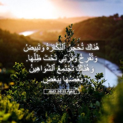 Picture 05 - إِشَعْيَاءَ 34:15 AVD - هُنَاكَ تُحْجِرُ - Bible Verse Picture