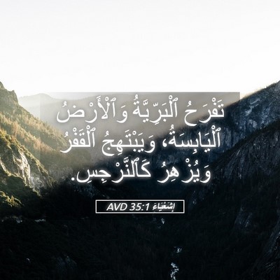 Picture 05 - إِشَعْيَاءَ 35:1 AVD - تَفْرَحُ ٱلْبَرِّيَّةُ - Bible Verse Picture