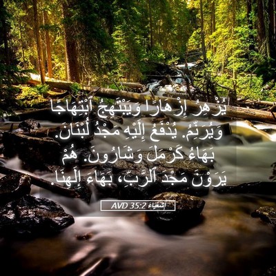 Picture 05 - إِشَعْيَاءَ 35:2 AVD - يُزْهِرُ إِزْهَارًا - Bible Verse Picture