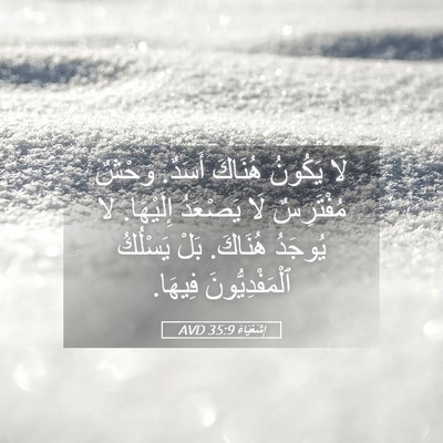 Picture 05 - إِشَعْيَاءَ 35:9 AVD - لَا يَكُونُ هُنَاكَ - Bible Verse Picture