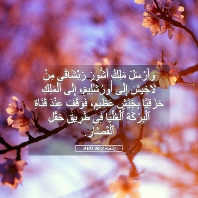 Picture 05 - إِشَعْيَاءَ 36:2 AVD - وَأَرْسَلَ مَلِكُ - Bible Verse Picture