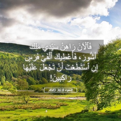 Picture 05 - إِشَعْيَاءَ 36:8 AVD - فَٱلْآنَ رَاهِنْ سَيِّدِي - Bible Verse Picture