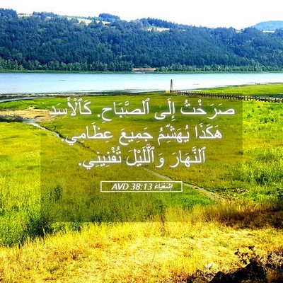 Picture 05 - إِشَعْيَاءَ 38:13 AVD - صَرَخْتُ إِلَى ٱلصَّبَاحِ. - Bible Verse Picture