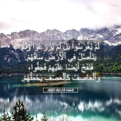 Picture 05 - إِشَعْيَاءَ 40:24 AVD - لَمْ يُغْرَسُوا بَلْ لَمْ - Bible Verse Picture