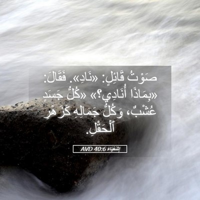 Picture 05 - إِشَعْيَاءَ 40:6 AVD - صَوْتُ قَائِلٍ: «نَادِ». - Bible Verse Picture